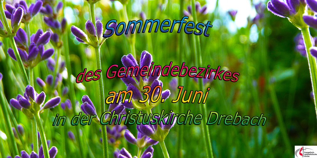 Sommerfest-2013-artikel